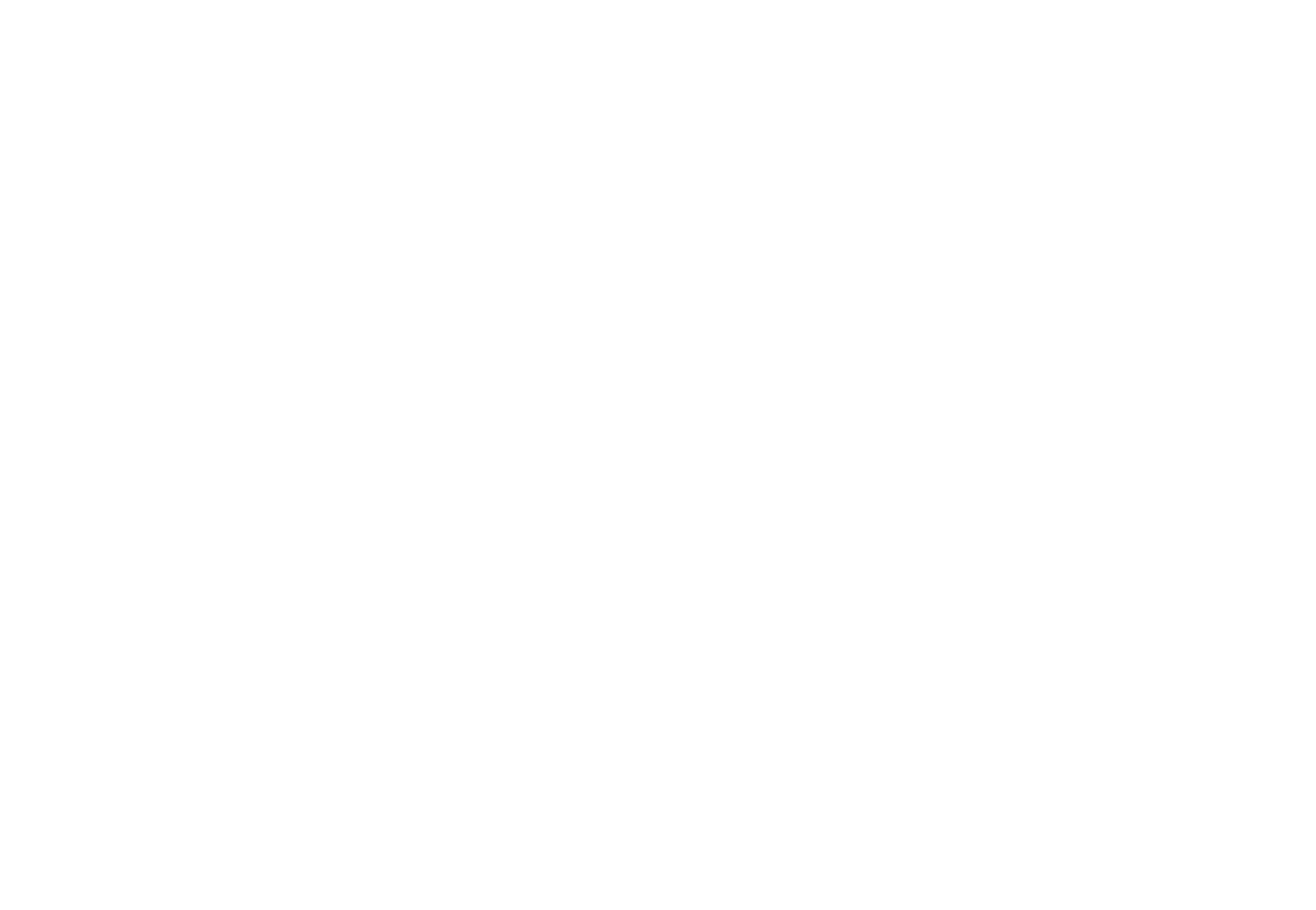 2025 Thoroughbred Aftercare Alliance Accredited Organization